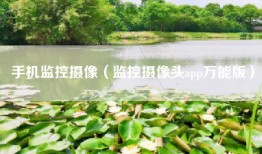 手机监控摄像（监控摄像头app万能版）
