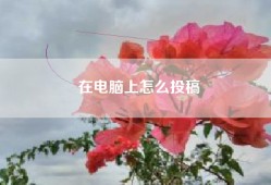 在电脑上怎么投稿