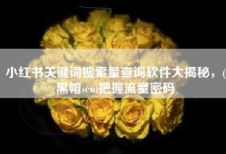 小红书关键词搜索量查询软件大揭秘，(黑帽seo)把握流量密码