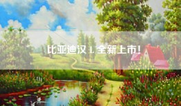 🚗比亚迪汉 L 全新上市！🎉