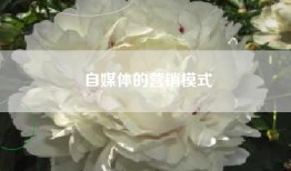 自媒体的营销模式