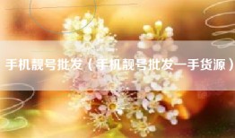 手机靓号批发（手机靓号批发一手货源）