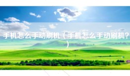 手机怎么手动刷机（手机怎么手动刷机？）