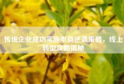 传统企业成功实施电商逆袭策略，线上转型攻略揭秘