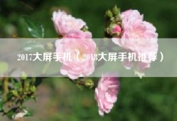 2017大屏手机（2018大屏手机推荐）