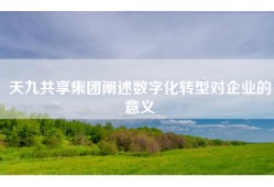 天九共享集团阐述数字化转型对企业的意义