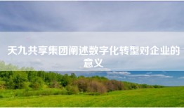 天九共享集团阐述数字化转型对企业的意义
