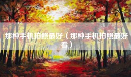 那种手机拍照最好（那种手机拍照最好看）