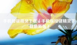手机按键精灵下载（手机版按键精灵下载最新版）