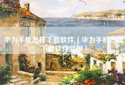 华为手机怎样下载软件（华为手机怎样下载软件受限）