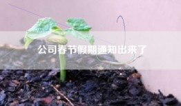 公司春节假期通知出来了