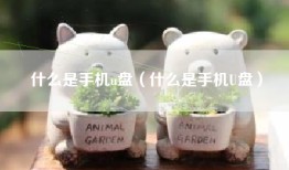 什么是手机u盘（什么是手机U盘）