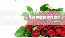 手机界面设置（手机界面设置在哪里）