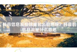 抖音信息流投放是什么意思呀？抖音的信息流是什么意思