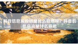 抖音信息流投放是什么意思呀？抖音的信息流是什么意思