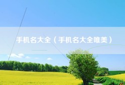 手机名大全（手机名大全唯美）