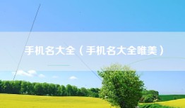 手机名大全（手机名大全唯美）