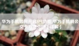 华为手机如何开启NFC功能 华为手机刷公交卡方法介绍【详解】