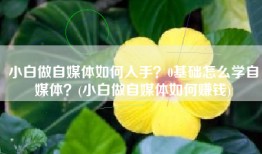 小白做自媒体如何入手？0基础怎么学自媒体？(小白做自媒体如何赚钱)