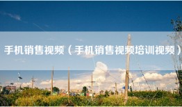 手机销售视频（手机销售视频培训视频）