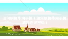 如何刷机华为手机（如何刷机华为手机教程忘记密码）