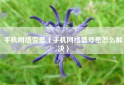 手机网络变差（手机网络信号差怎么解决）