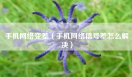 手机网络变差（手机网络信号差怎么解决）