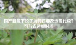 国产新舰下饺子为何还要改造现代级？可节省造舰时间