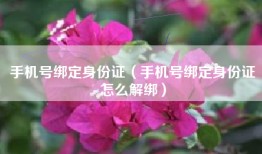 手机号绑定身份证（手机号绑定身份证怎么解绑）