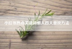 小红书热点关键词懒人四大查找方法