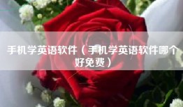 手机学英语软件（手机学英语软件哪个好免费）