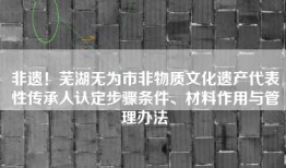 非遗！芜湖无为市非物质文化遗产代表性传承人认定步骤条件、材料作用与管理办法