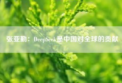 张亚勤：DeepSeek是中国对全球的贡献