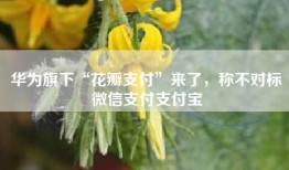 华为旗下“花瓣支付”来了，称不对标微信支付支付宝