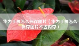 华为手机怎么保存图片（华为手机怎么保存图片不占内存）