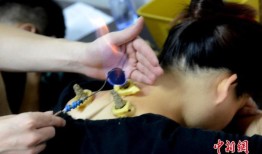 长达40天“加长版”三伏天来了！头伏为啥吃饺子？