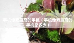 手机像素最高的手机（手机像素最高的手机是多少）