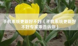 手机系统更新好不好（手机系统更新好不好专家来告诉你）