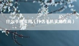 什么手机实用（什么手机实用性高）