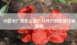 小红书广告怎么做？从开户到投放详细流程