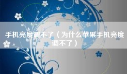 手机亮度调不了（为什么苹果手机亮度调不了）