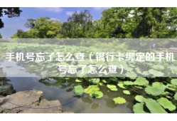 手机号忘了怎么查（银行卡绑定的手机号忘了怎么查）