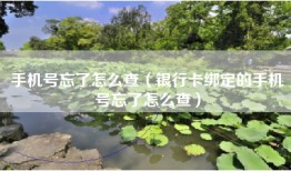 手机号忘了怎么查（银行卡绑定的手机号忘了怎么查）