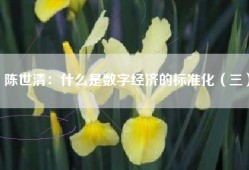 陈世清：什么是数字经济的标准化（三）