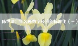 陈世清：什么是数字经济的标准化（三）