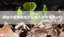 微信小程序商城怎么接入自有业务APP？