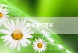 销售推广方案