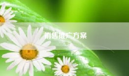 销售推广方案