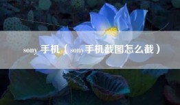 sony 手机（sony手机截图怎么截）