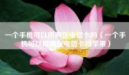 一个手机可以用两张电信卡吗（一个手机可以用两张电信卡吗苹果）